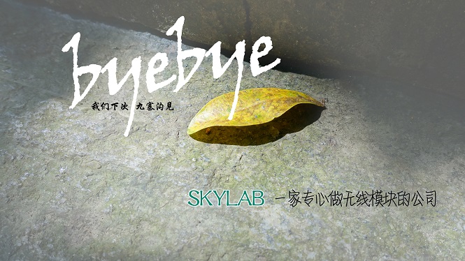 SKYLAB，一家做无线模块的公司