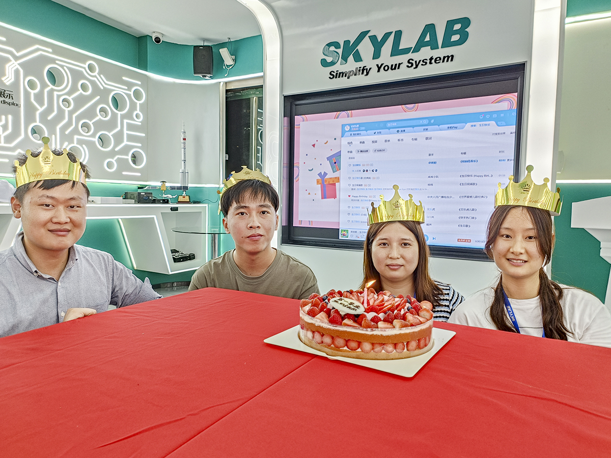 赴一场春日之约|SKYLAB 2023年第一季度生日会、迎新会